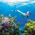 /album/photogallery/diver-in-the-reef-jpg/